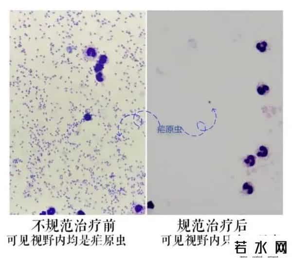江苏新增本土确诊8例、本土无症状76例