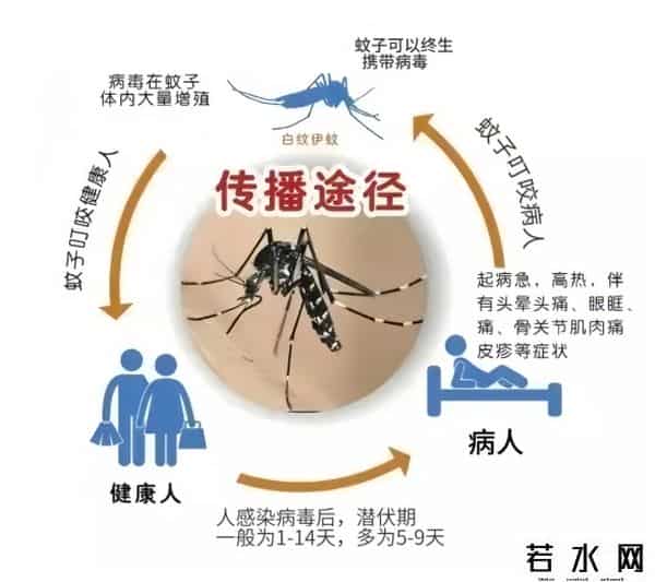 新一轮疫情波及26省