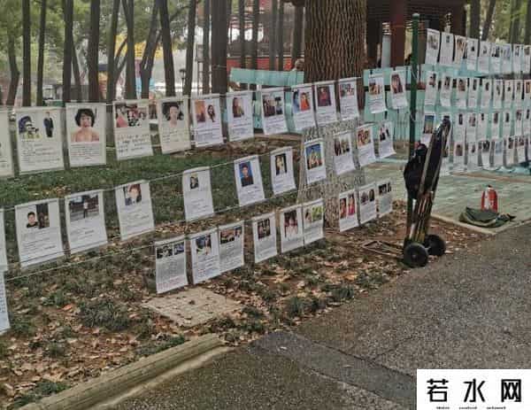 辽宁男少女多
