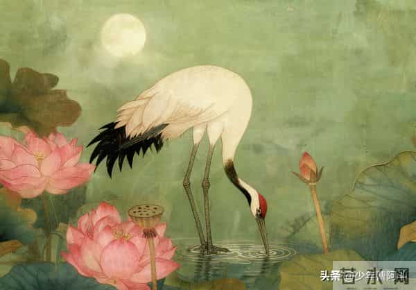 命由天定，运由己生，当你不再被潜意识牵着走，命运才开始转动！