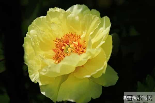 一个人身上有这2个习惯，说明他很聪明、不简单