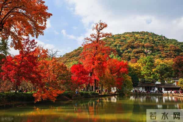 苏州仓街往事356：她对男人还是有疑心的