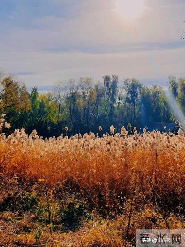 《尚书》10句千年古训，藏着成年人最该懂的生存智慧