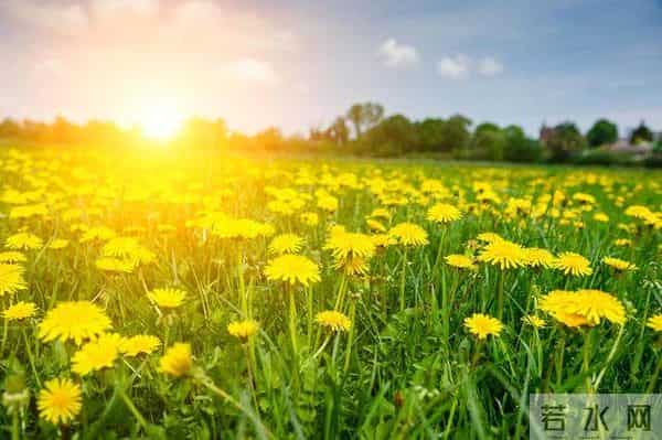 10首优美的七绝诗，领略宋代诗人的生态观，欣赏自然中的诗意栖居