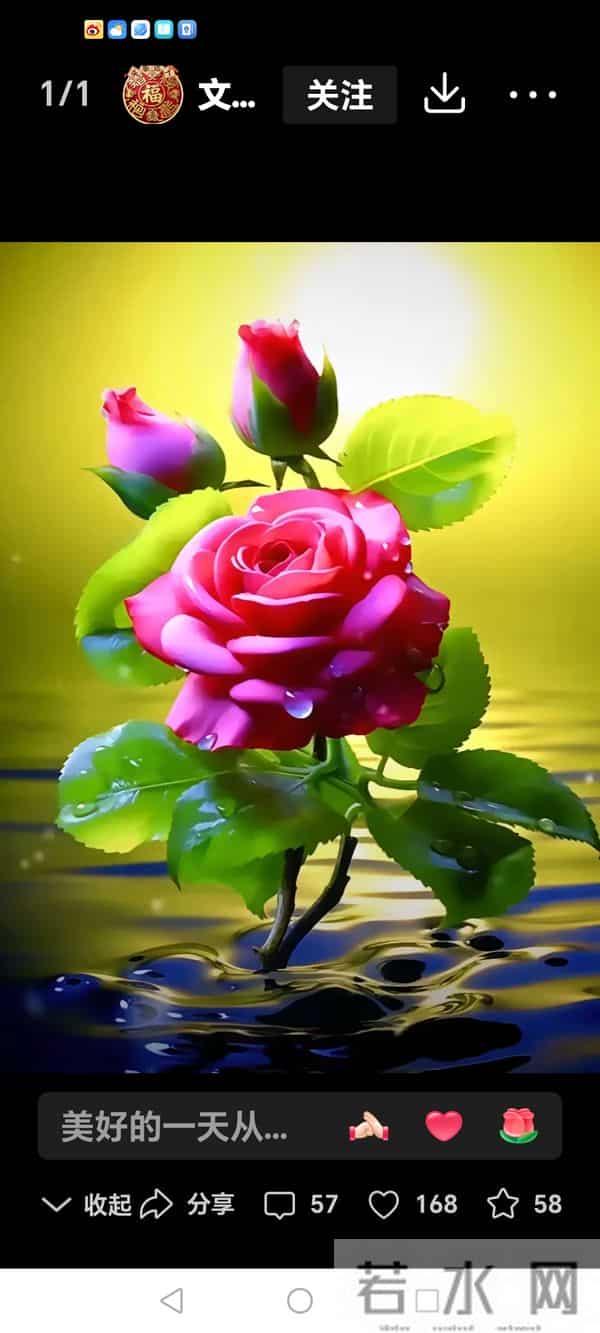 七言诗～享受生命之真谛