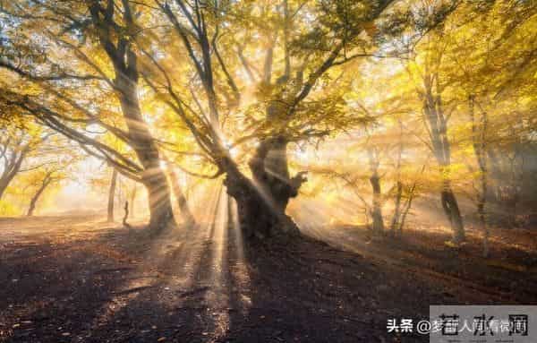 独处的最好境界：自己的快乐，不用经过任何人同意。