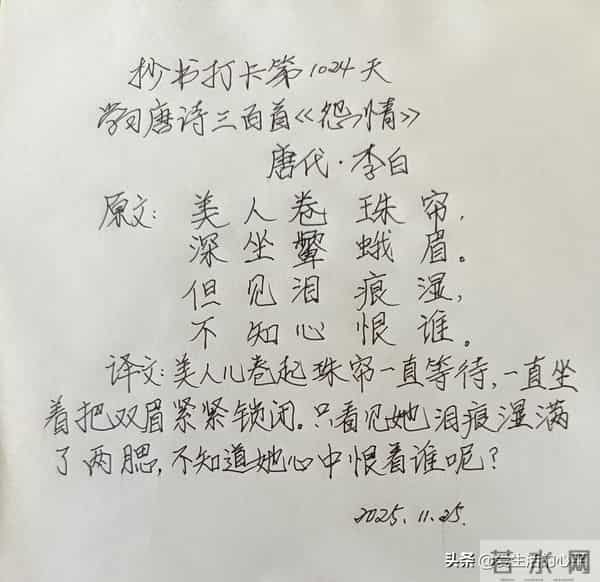 抄书打卡第1024天