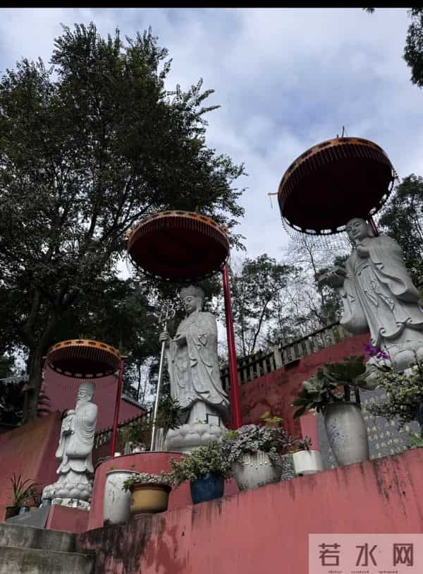 隐于山水间的禅修净地：大邑金台寺全解