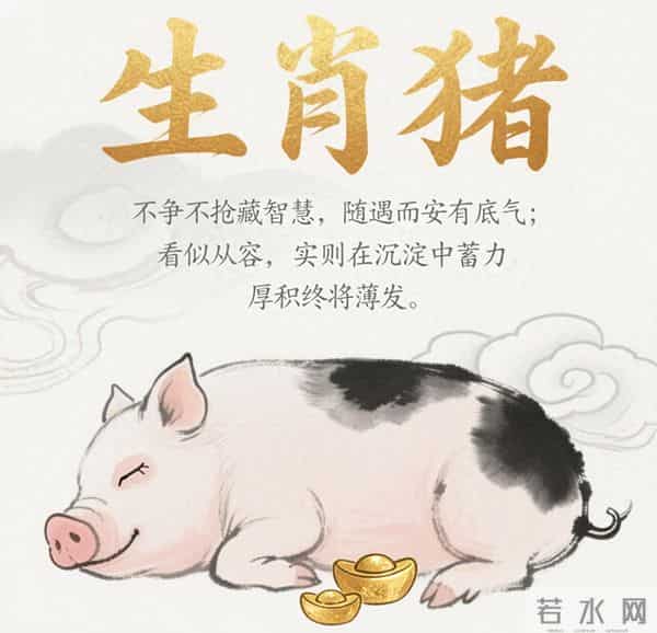 生肖猪，星期二，11月25日今日生肖！