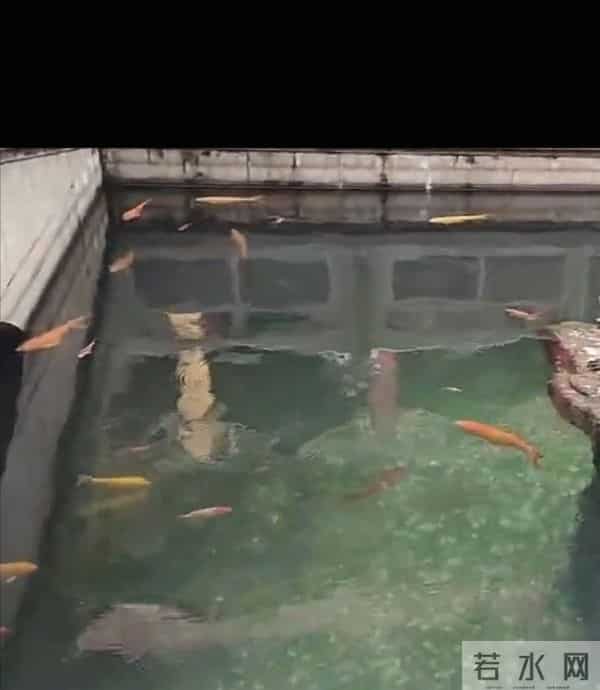 隐于山水间的禅修净地：大邑金台寺全解