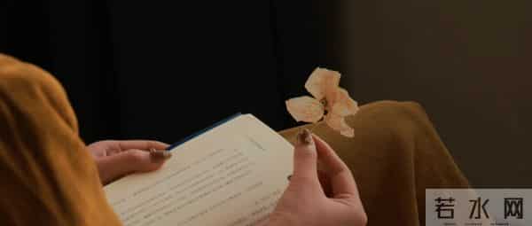 （完）你配不上我！是吗？离婚前夜，我把35本房产证拍在他脸上