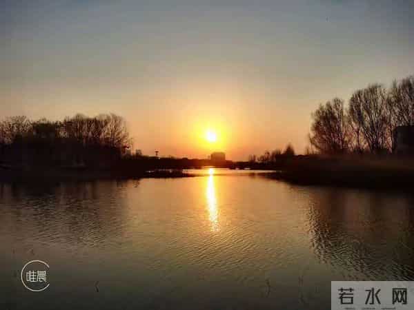 属猪人注意！11月21日能量反转，年底“翻身仗”只需三步走别问！