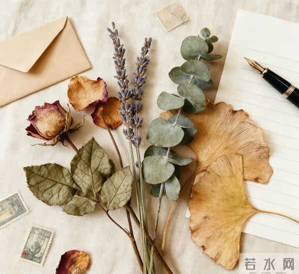 《我奶奶是童养媳》(23）奶奶的离世