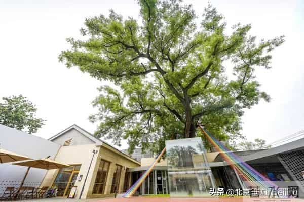 京城周末丨原来，北京的“老建筑”有这些打开方式！