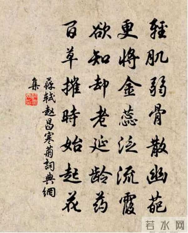 古诗词赏析：《赵昌寒菊》（宋）苏轼