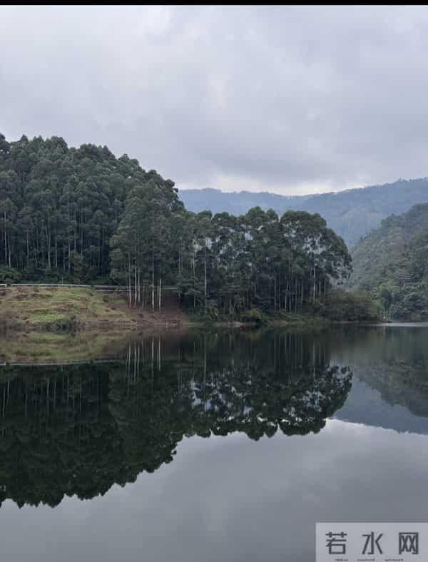 隐于山水间的禅修净地：大邑金台寺全解