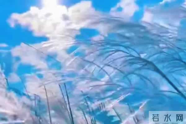 湖畔幽思（原创诗歌）