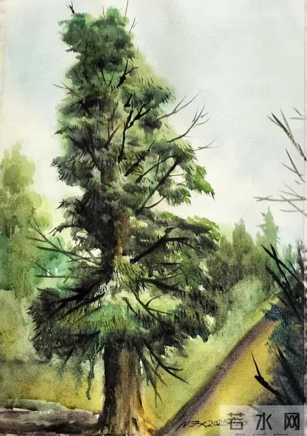 幸福原创画吧2025年第四十四期画友作品分享