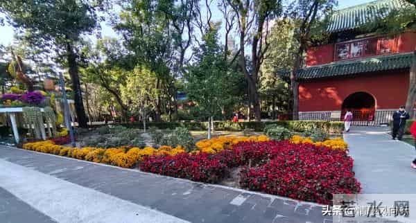 《尚书》10句千年古训，藏着成年人最该懂的生存智慧