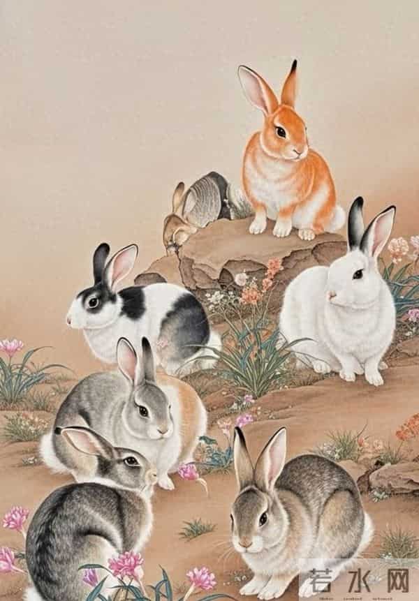 生肖兔：“灵兔踏冬”，11月21-23号有治愈性转机，你察觉了吗