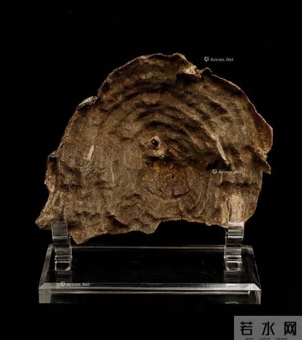 沉香为何价值连城？一克万金背后的秘密大公开！