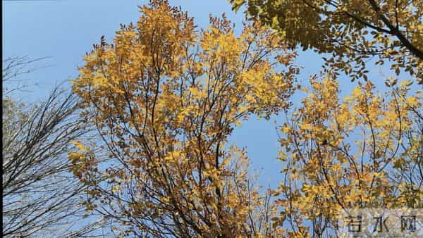 2025年12月后属马人三喜撞满怀