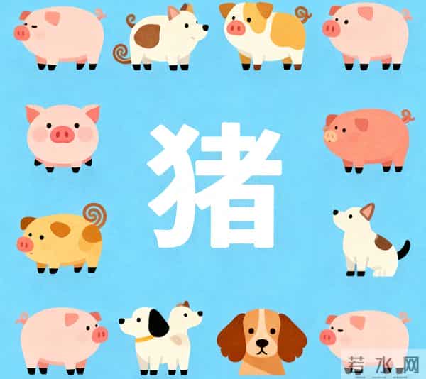 亥猪要“笑醒”了，11月25日你将会遇见你最大的2位贵人！