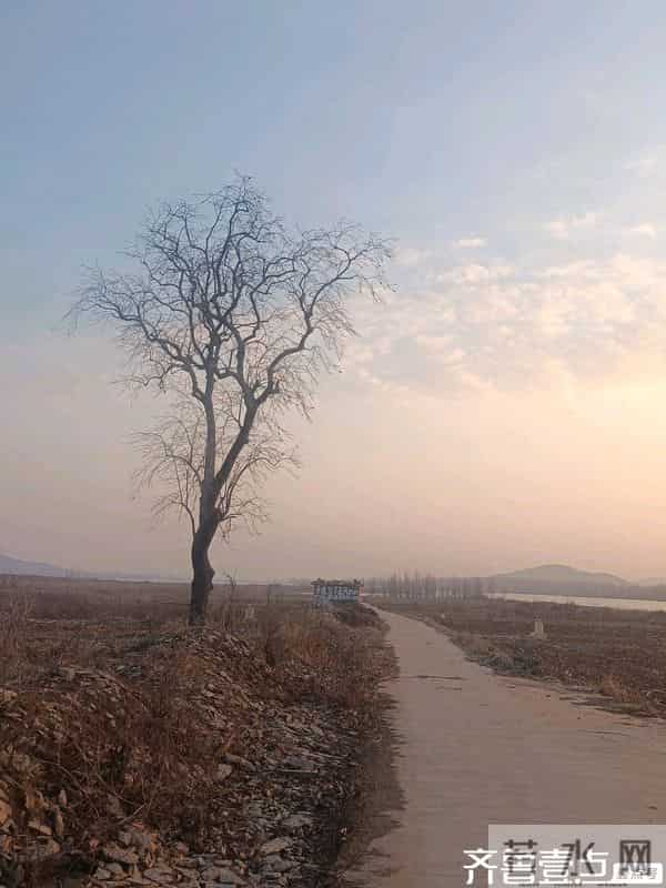 漏风的窗（小说）