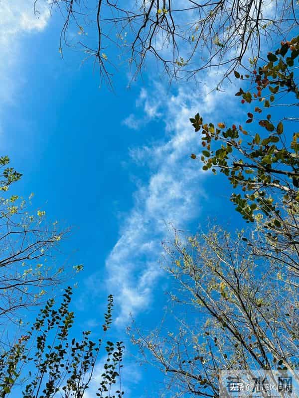 《尚书》10句千年古训，藏着成年人最该懂的生存智慧