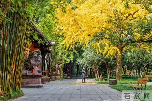 蕙兰质其心——读诗人香香《致友人》