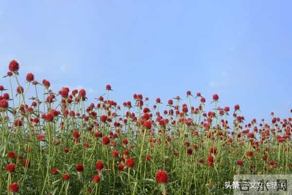 弘一法师的一句话：“五十岁之后，一个朋友也没有，连亲情也疏远