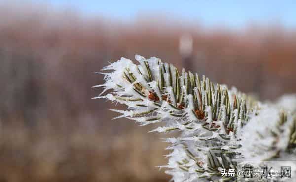 今日十月初六，牢记：1要躲，2不做，3要吃，忌1事，平安顺利过冬