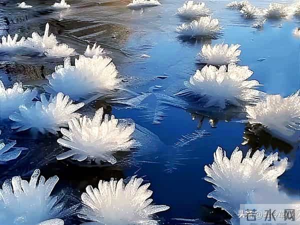 雪落无声，却润泽世间万物，相思不语，但可描绘爱的唯美