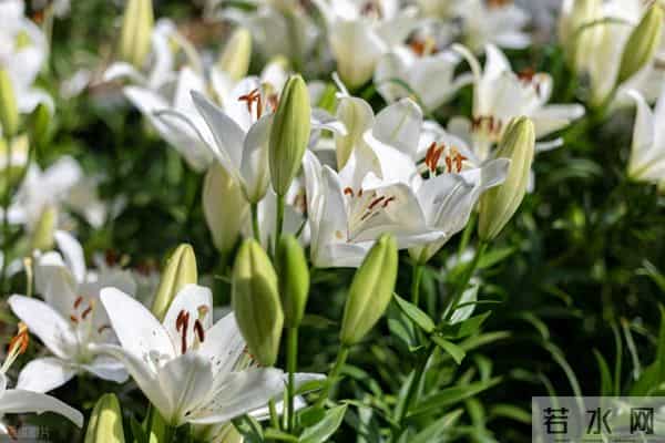 被误读千年的老话！原来我们一直理解错了，尤其第 5 句坑了很多人