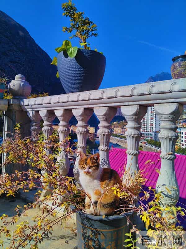 毛哥文学《冬阳弥渡》