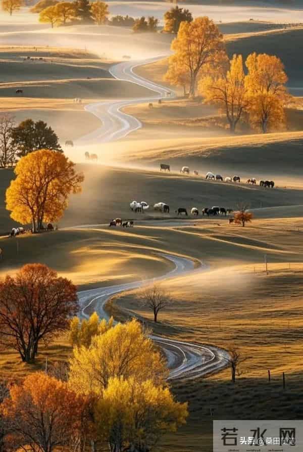 属猪人注意！11月21日能量反转，年底“翻身仗”只需三步走别问！