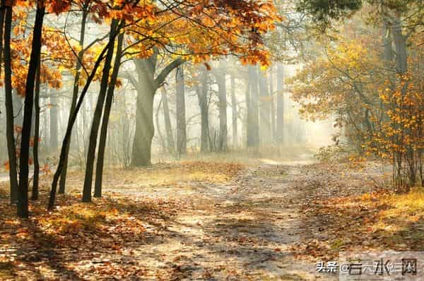 不是迷信！十月初六是“凶日”，最不能做“4件事”，指哪些？