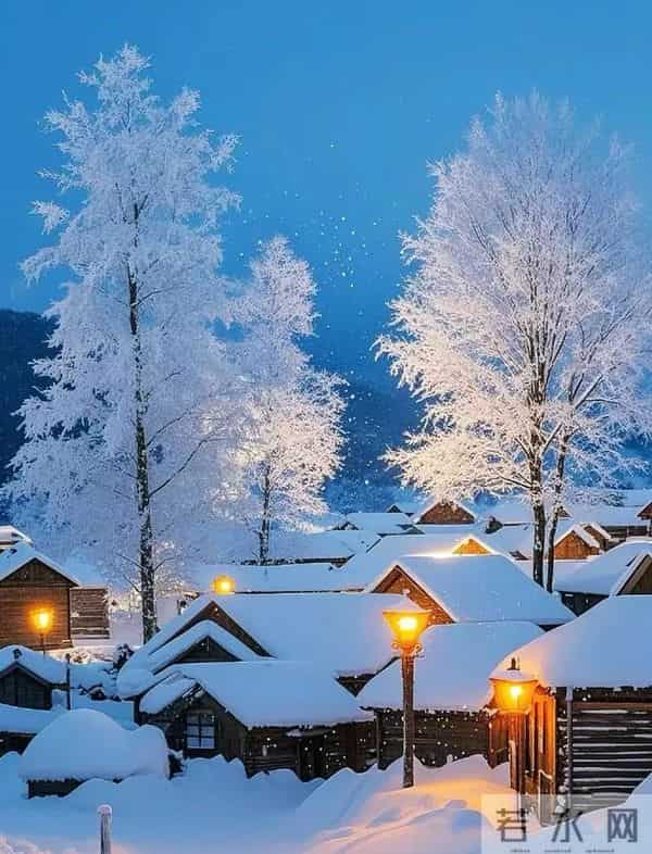 沁园春·雪落枝头 三首