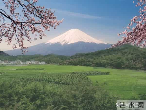 风水先生看风水