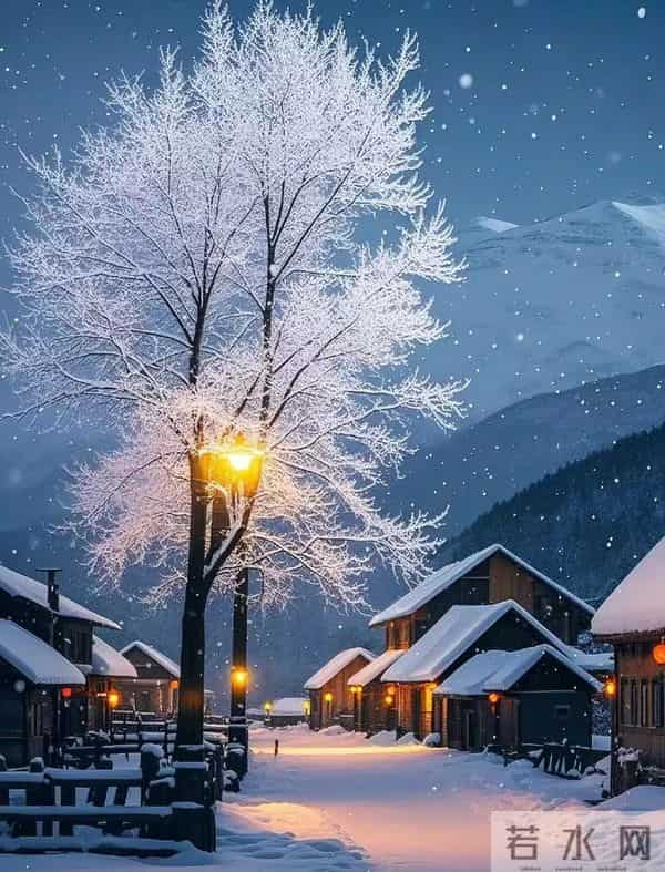 沁园春·雪落枝头 三首