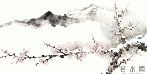 红楼同花异命04 - 梅韵双尘：妙玉的洁是孤绝，李纨的节是清寂