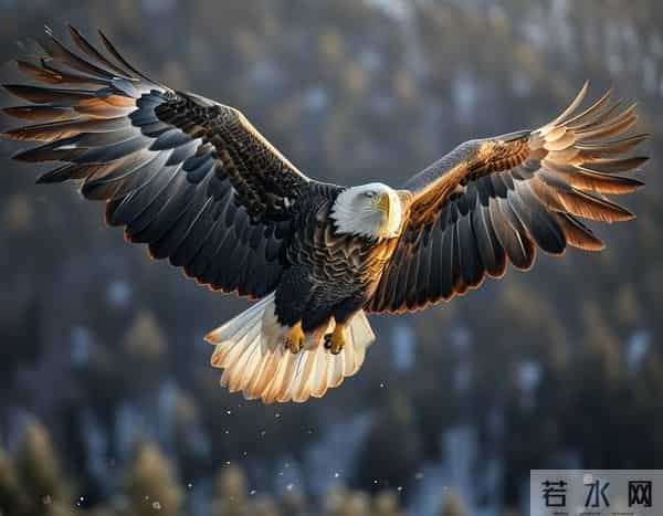 狩猎东北—（187）猎手考核