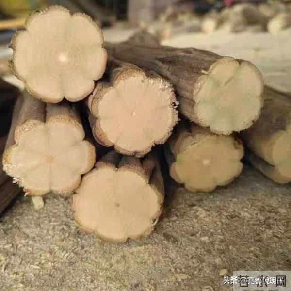 属于山西人自己的“文玩”