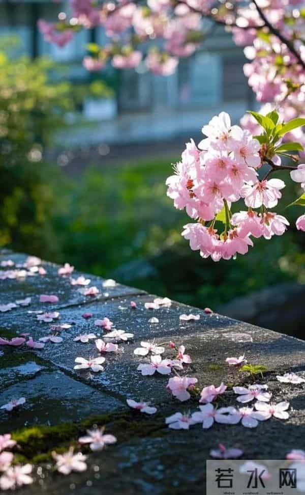 50句“诗词之最”，道尽人生况味，值得收藏！