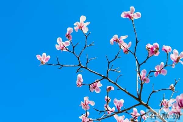 乡土小说：红姐（9）