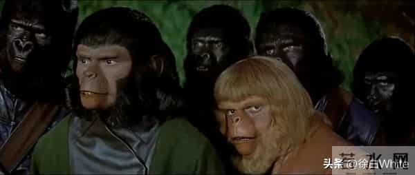 巩俐1986年手写稿曝光！字迹遒劲有力，书法爱好者迫不及待要临摹