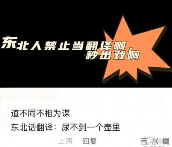 东北网友“翻译文言文”火了，评论区笑翻：东北人果然不能做翻译