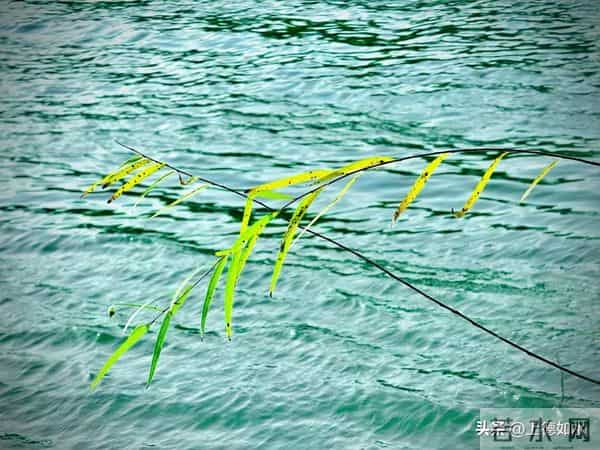 被风喊醒的灵魂（原创）