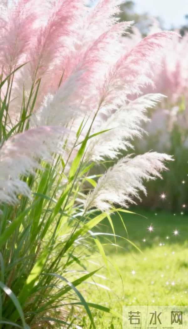 50句“诗词之最”，道尽人生况味，值得收藏！