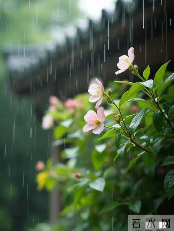 一定要背下10句只有10个字的千古名句，受益无穷，值得收藏！